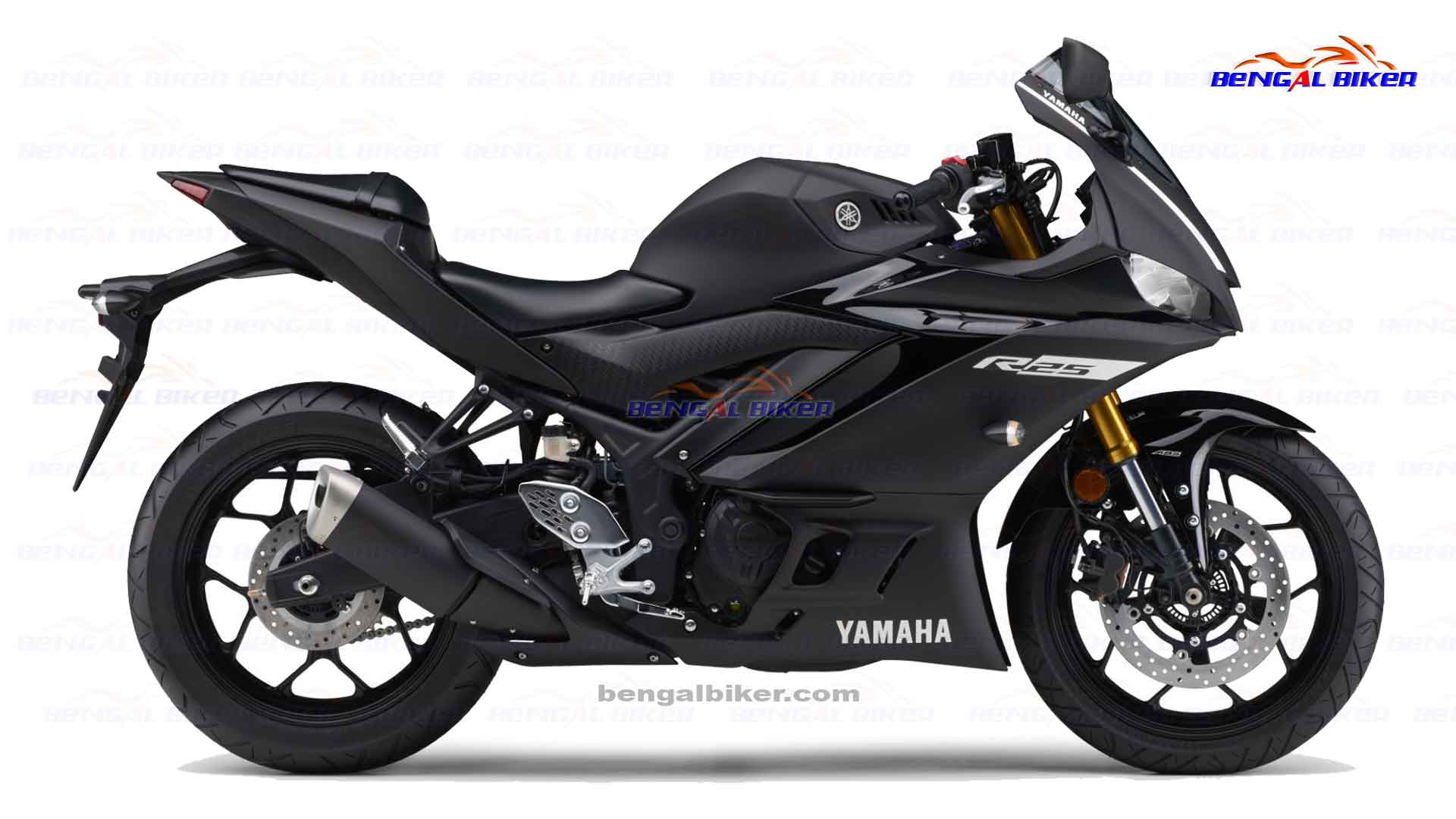 Yamaha R25 matte black